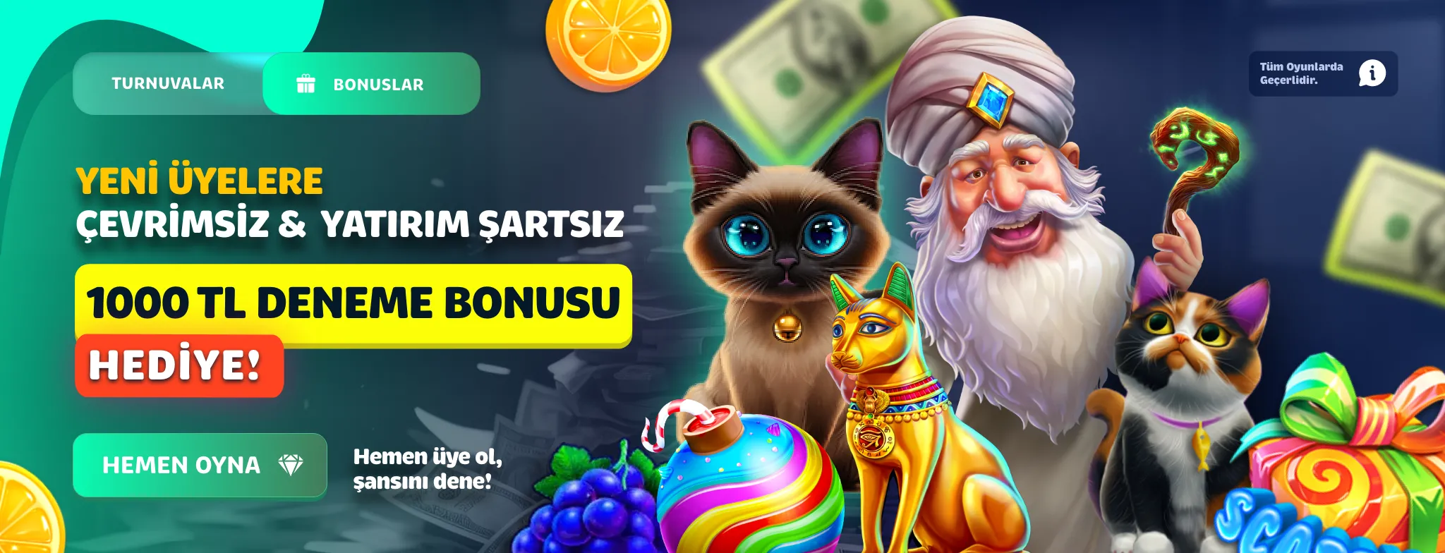 1738099684.webp